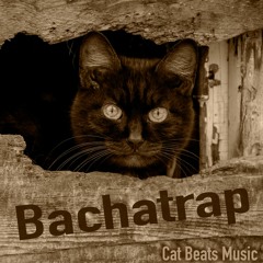 Bachatrap