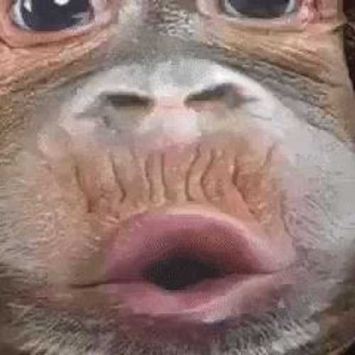 Stream Baby Laugh Funny Sound Effect No Copyright Baby