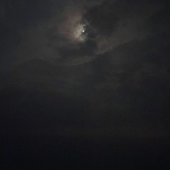 هذا و أنا صاحبك محبوبك و جارك