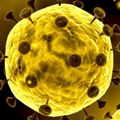El nuevo brote del coronavirus en Wuhan, China (Atando Cabos - 21/01/20)