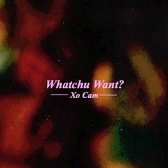 Whatchu Want? (Prod. Xo Cam)