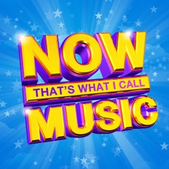 Now That's What I Call Party Tunes