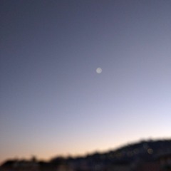 younguada - anima  (prod. vayn)