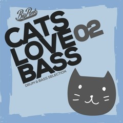 Big Pack | Cats love Bass 02 [Drum & Bass Mix]