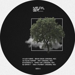 A1  Alex Fuente - Brain Drain (Original Mix) Clip