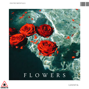 F l o w e r s