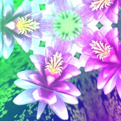 finish
