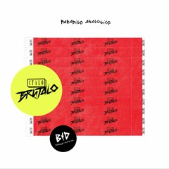Italo Brutalo - Paradiso Analogico - Snippet (4 different tracks)
