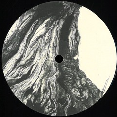 Premiere : Mancini & TIJN - Kobra (VWLTD002)