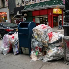 stupid dumbass trap dumb