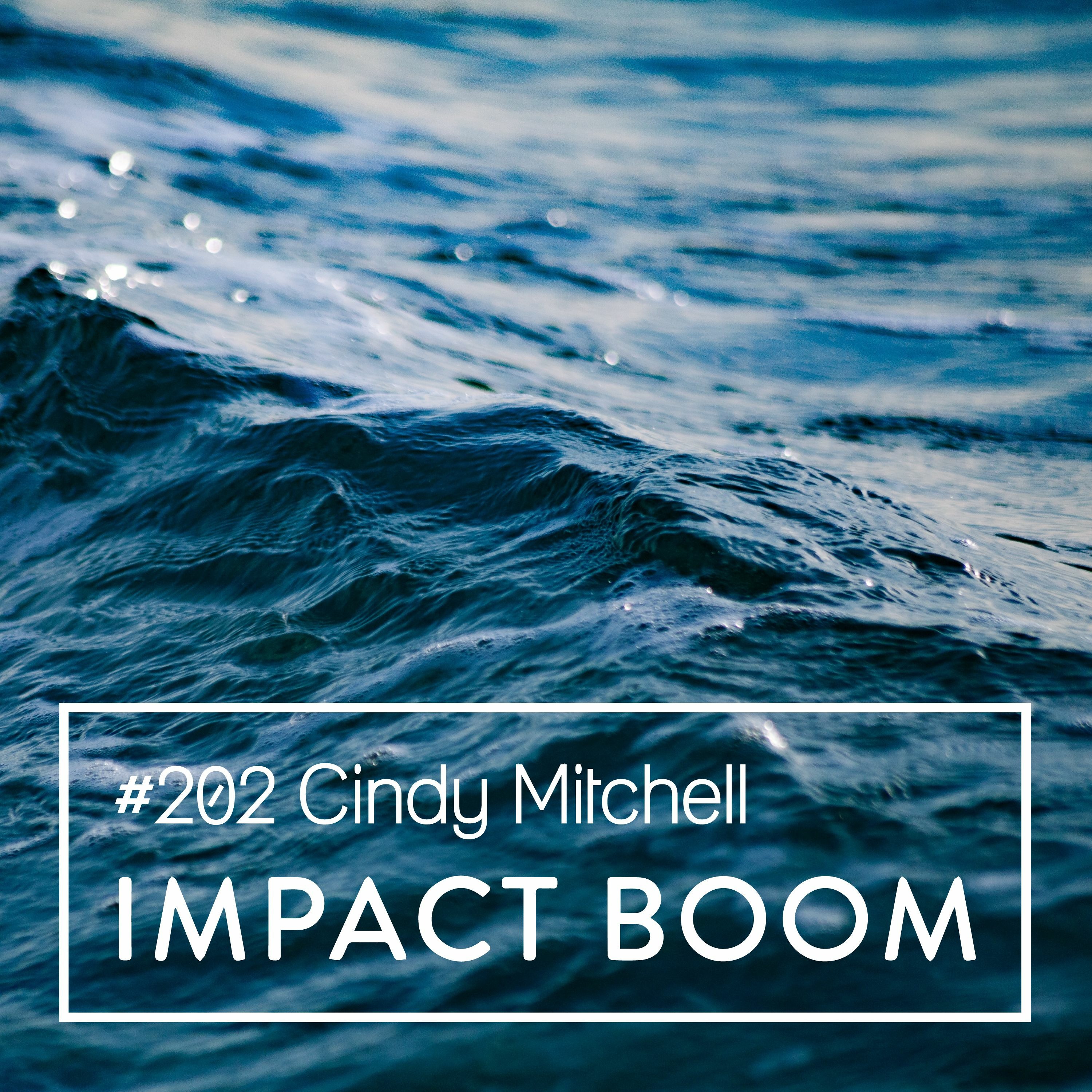 Episode 202 (2020) Cindy Mitchell On Challenges & Opportunities For Social Entrepreneurs episode artwork