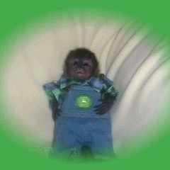 Cool Guy Has Chill Day