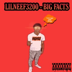 LilNeef3200 - Big Facts