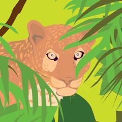 The jungle