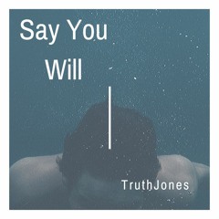 Say You Will (prod. noden x quoss)