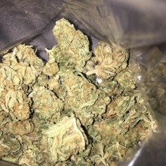 Elijah Dashaun X MisfitThePlague - Stupid Dumb