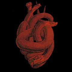 Kelli Nelson - Nord88