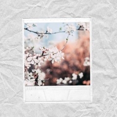 Ahn Jung Jae - Cherry Blossom Ending Cover