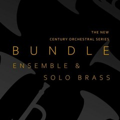 8Dio Century Brass Brass "Deal Of A Century" by Troels Folmann