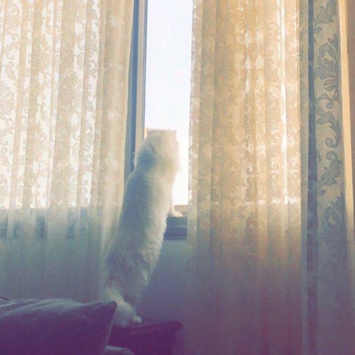 حتى وان بدت السماء بعيدة
