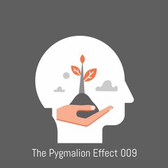 The Pygmalion Effect 009
