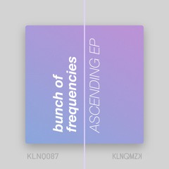 Bunch Of Frequencies - Promises (preview)