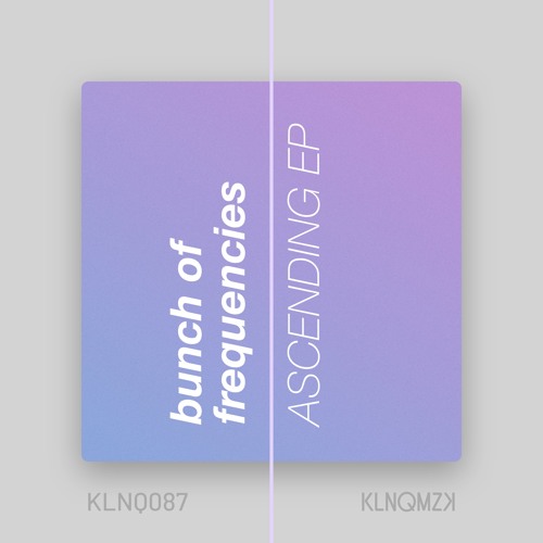 Bunch Of Frequencies - Promises (preview)