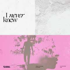 I Never Knew (feat. Daniel Clubb)