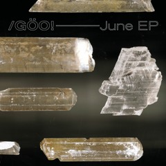 Riot Against The Lion