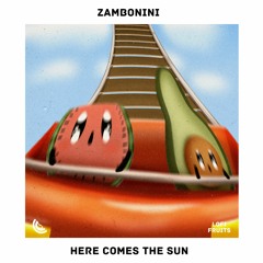 Zambonini - Here Comes The Sun