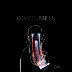 Consciousness