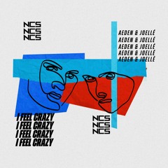 Aeden & Joellé - I Feel Crazy [NCS Release]