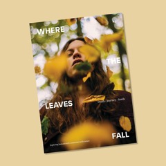 Art and environmentalism in Where the Leaves Fall