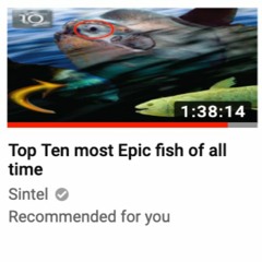 7. Flatfish