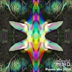 Entangled Mind Promo Mix 2020