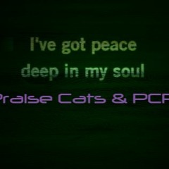 Praise Cats VS PCP - Shine On (PCP Edit)