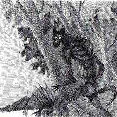 Night Of The Devil Monkey (Demo)