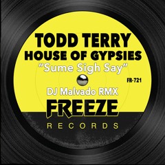 Todd Terry & House Of Gypsies - Sume Sigh Say (DJ Malvado RMX)