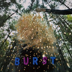 Snarls - "Walk In The Woods"