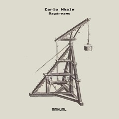 Premiere: Carlo Whale - Daydreams [Manual Music]