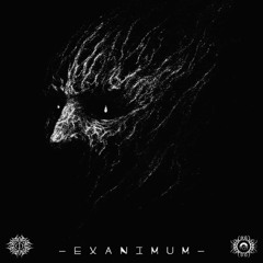 Alien Time & Clarear - Te - Vibrações Do Existir V.A Exanimum PT 1( By Hueco Records)