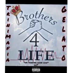 Bro$ 4Lif£ X G€lat0