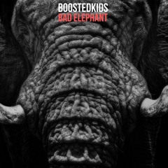 BOOSTEDKIDS - Bad Elephant