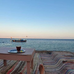 محمد الشربيني الله يسامحك