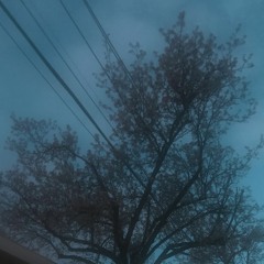 a warm flood #5 - Cake