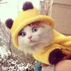 إيساف عاشق بحب