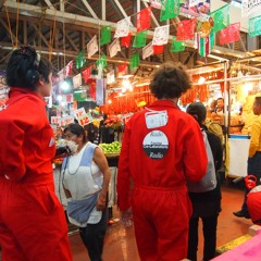 Xochimilco Vox Populi: Puesto