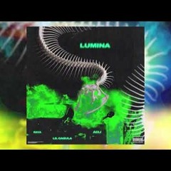 Rava - Lumină Feat. ACLI & Lil Cagula (Official Visual)