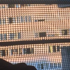 My Cherie Amour (reprise Janeire)