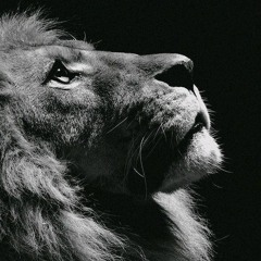 The Grey Matter - TuBrainz Ft HYTHRA